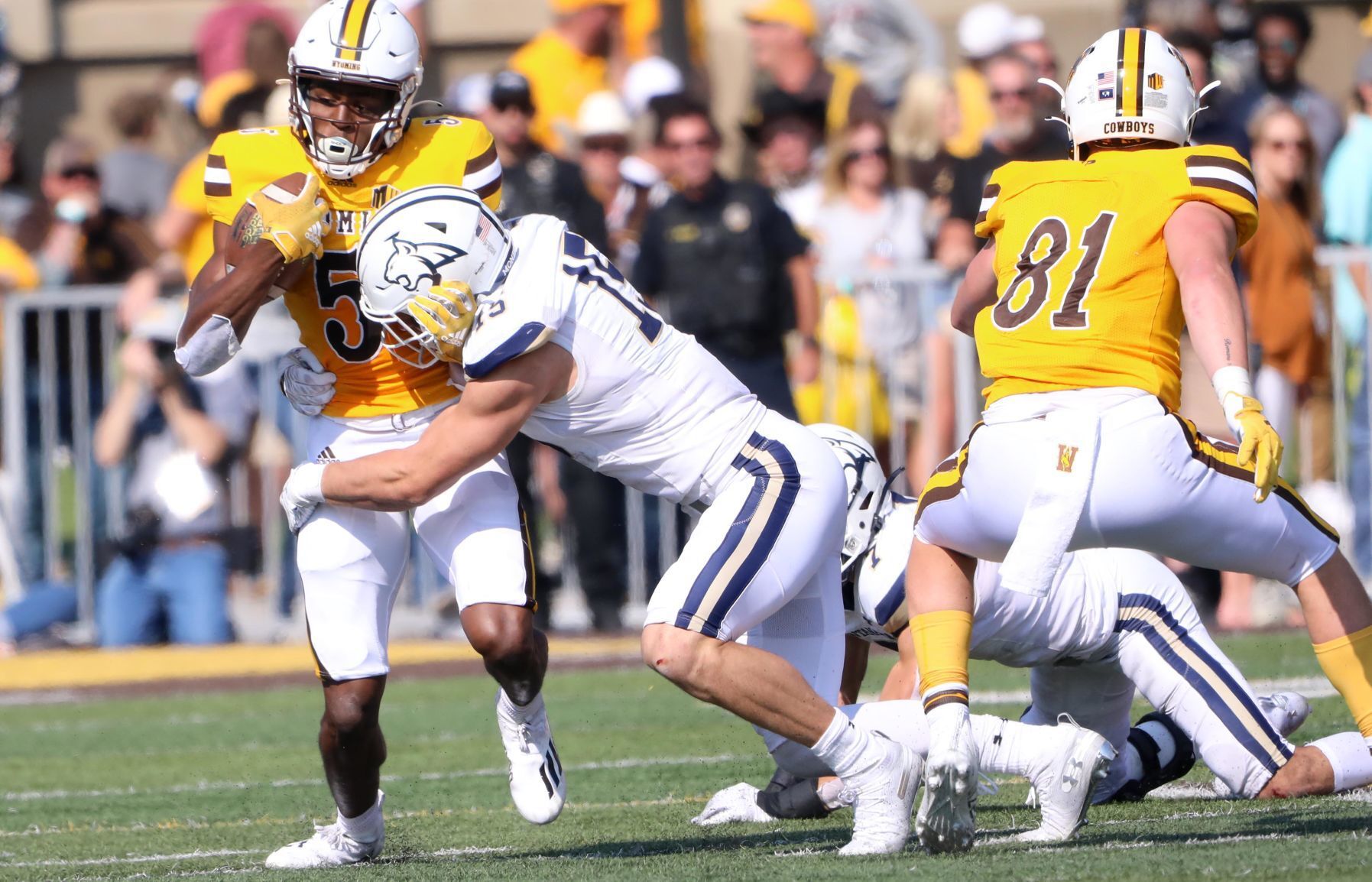 Montana State Bobcats football